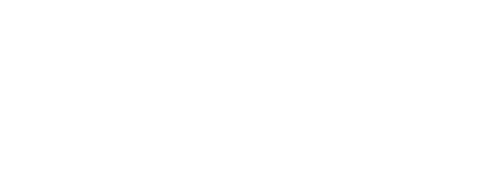 Beemok Capital